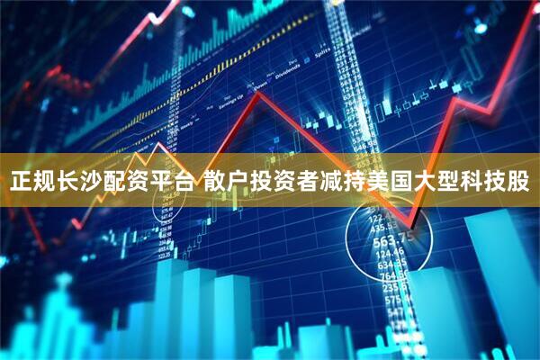 正规长沙配资平台 散户投资者减持美国大型科技股