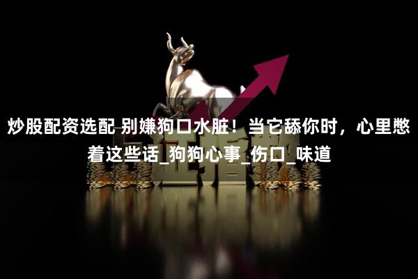 炒股配资选配 别嫌狗口水脏！当它舔你时，心里憋着这些话_狗狗心事_伤口_味道